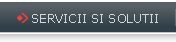 Servicii si solutii
