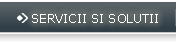 Servicii si solutii