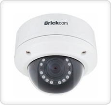 camera megapixel - Brickcom - vandal dome